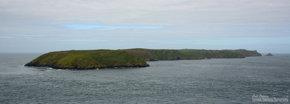Skomer Island from Wooltack Point