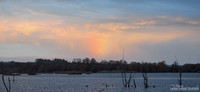 Shapwick Heath, UK 2013